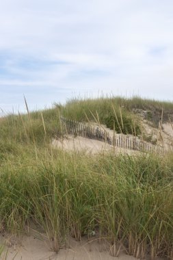Dunes adlı Provincetown, Ma