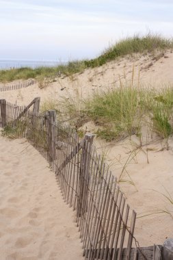 Dunes içinde Provincetown, Massachusetts