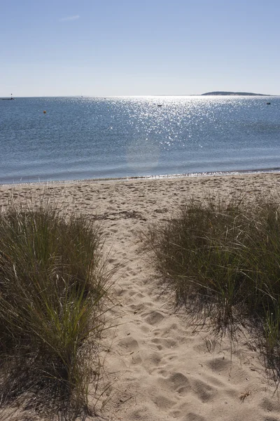 Sol brillando en el océano, Cape Cod, MA — Foto de Stock