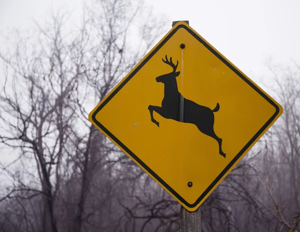 鹿の横断歩道の標識 ストック画像