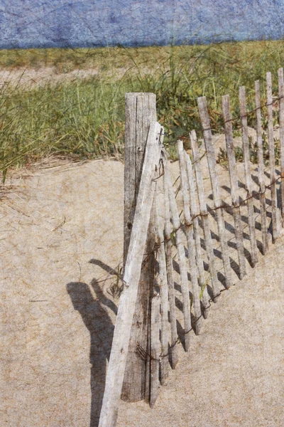 Beach on Cape Cod — Stock Photo, Image