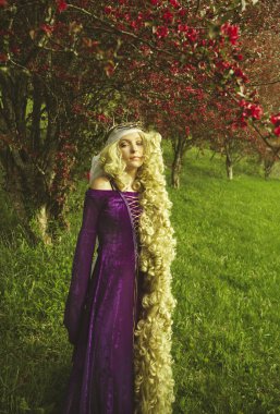 Rapunzel peri masalı