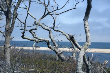 Chappaquiddick beach