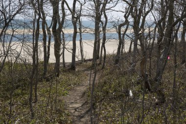 Chappaquiddick Ma orman