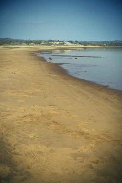 Plage sur le vignoble de Martha — Photo