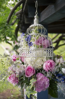 Kuş kafesi çiçeklenir