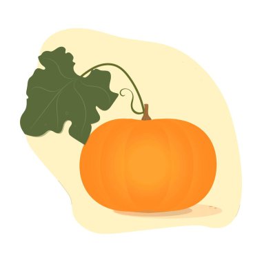 Vektör çizimi. Turuncu balkabağı yeşil yapraklı, açık bir arkaplanda izole edilmiş..