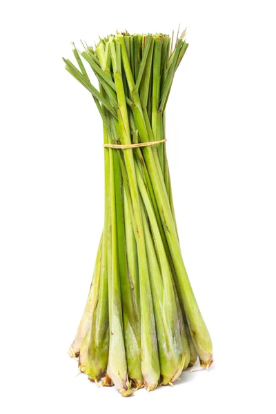 Fresh Lemon Grass on white background — Stock Photo, Image