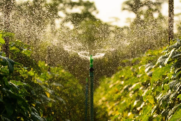 Watering from springer — Stock Photo, Image