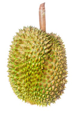 Beyaz arka plan üzerinde Durian meyve izole