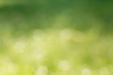 Doğal yeşil arkaplan bulanık