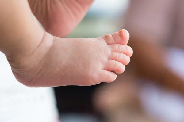 Close up of  baby feet — Stock Photo, Image