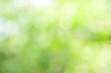 Renkli bulanık bokeh arkaplanı