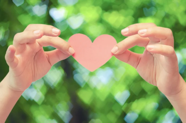 Bokeh arka plan olarak büyük ağaçtan