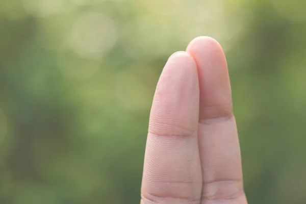 Coppia dito innamorato sullo sfondo della natura — Foto Stock