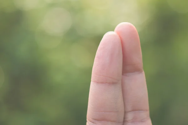 手指夫妇在自然背景的爱情 — 图库照片