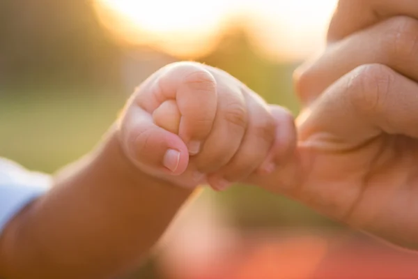 Mani di madre e figlio. parco estivo sullo sfondo Immagine Stock