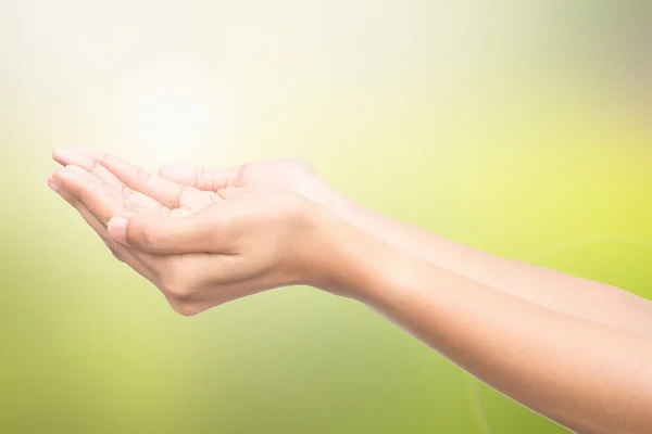 Menschen öffnen leere Hände, über verschwommenem Naturhintergrund — Stockfoto