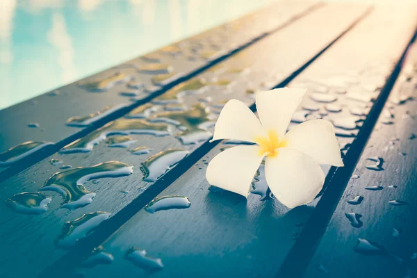 Plumeria flor sobre el fondo de madera . — Foto de Stock