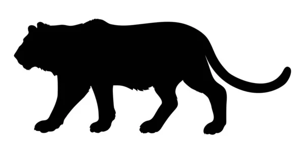 Silhouette eines laufenden Tigers. Schwarzes Bild im Profil auf weißem Hintergrund. — Stockvektor
