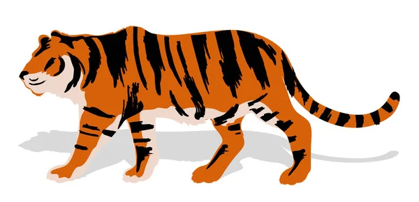 Silhouette eines wandelnden Tigers. Farbbild, Seitenansicht auf weißem Hintergrund. — Stockvektor