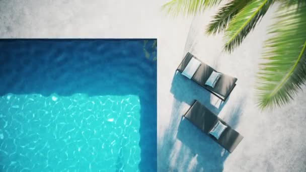 Piscina Vacaciones Con Terraza Palmeras Piscina Lujo Agua Azul Complejo — Vídeos de Stock