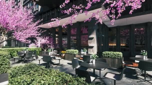 Leeg Lenteterras Van Het Restaurant Modern Design Van Restaurant Kersenboom — Stockvideo