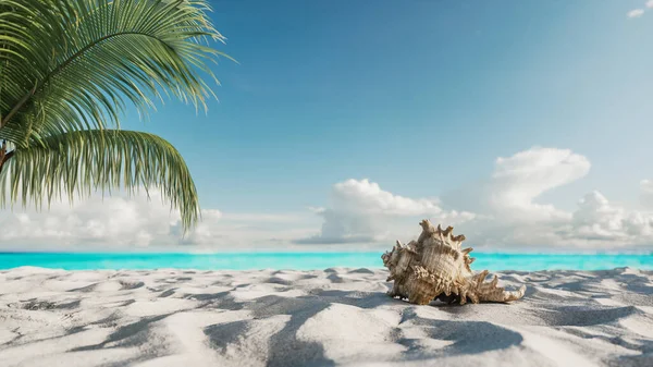 Skall Sanden Sommerkonsept Med Sandstrand Granat Sandy Beach Palm Illustrasjon – stockfoto