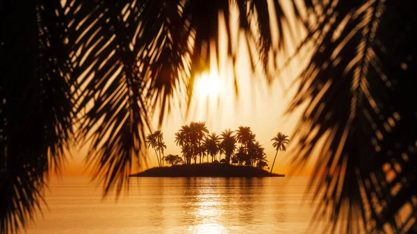 Silhuett Tropisk Gjennom Palmeblader Solnedgang Utsikt Gjennom Kokospalmer Håndflateblader Vinden – stockfoto