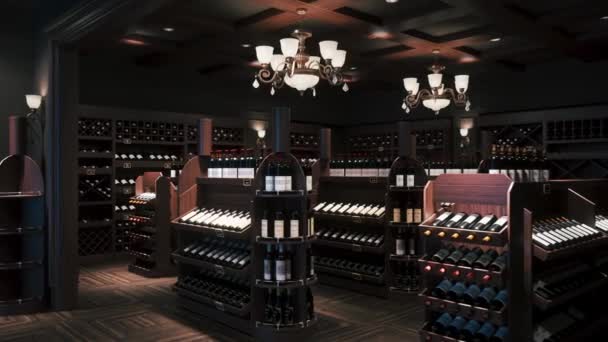 Weinladen Interieur Weinflaschen Weinlager Regale Mit Weinflaschen Visualisierung — Stockvideo