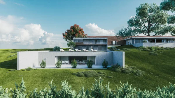 芝生の大きな現代的な家 芝生の美しい民家 私邸だ 高価な住宅用ヴィラ 3Dイラスト ロイヤリティフリーのストック画像