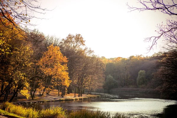 Floresta e lago em cores de outono — Fotografia de Stock