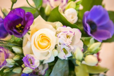 güzel çiçek kompozisyon