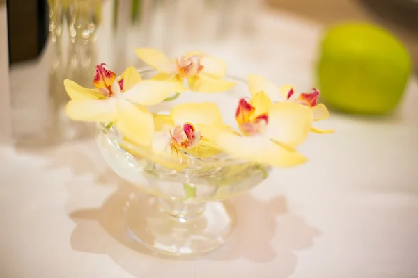 Orchid blommor i vas — Stockfoto