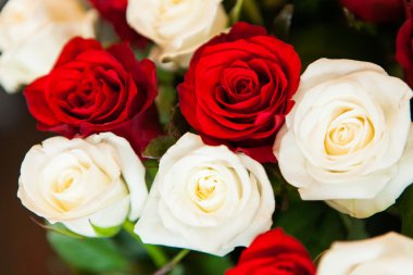 Güzel kırmızı ve beyaz güller