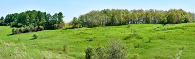 Panorama tepeler. Rusya'nın Avrupa kısmı. Pürüzsüz yamaç. Orman kemer. Güneşli bahar günü.