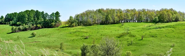 Panorama hills. The European part of Russia. Smooth slope. Forest belt. A Sunny spring day. — Stock Photo, Image