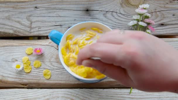 牛乳とコーンフレークを食べます。穀物を食べることのプロセスです。花で飾られた古い木製のテーブルにフレーク. — ストック動画