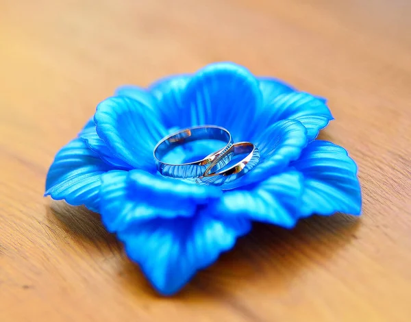 Krásné Snubní Prsteny Leží Květině — Stock fotografie