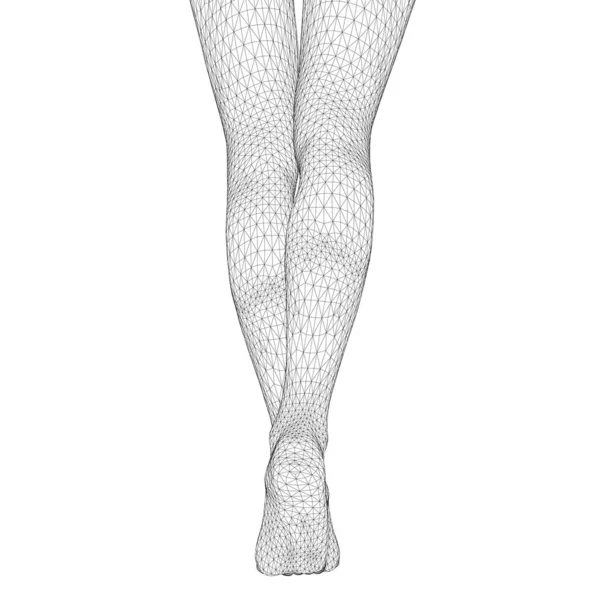 Illustration Vectorielle Corps Humain Jambes Féminines Forme Maille Triangulaire Tridimensionnelle — Image vectorielle