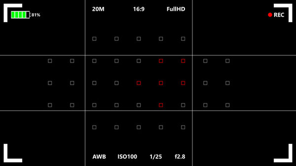 Camera focusing screen