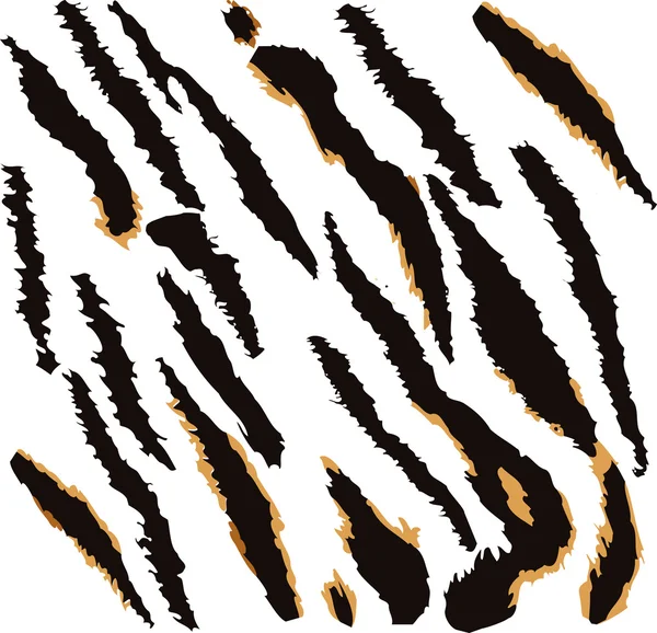 Tiger skin texture pattern — Stock Vector