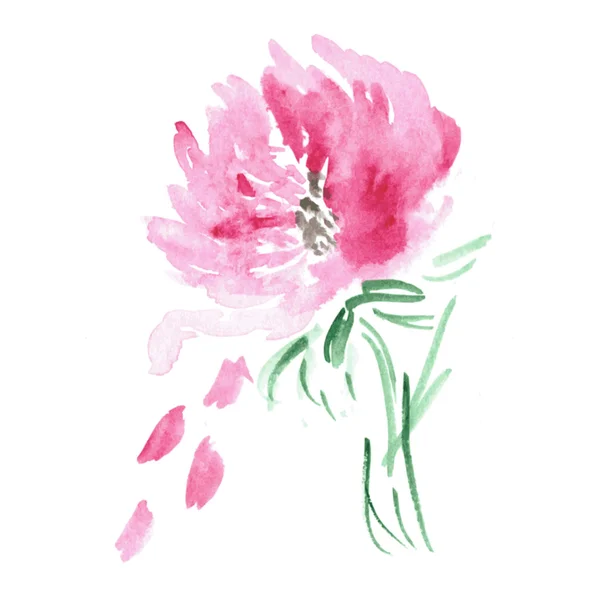 Vector floral background. Watercolor floral illustration. Pink flower decorative element. — Stok Vektör