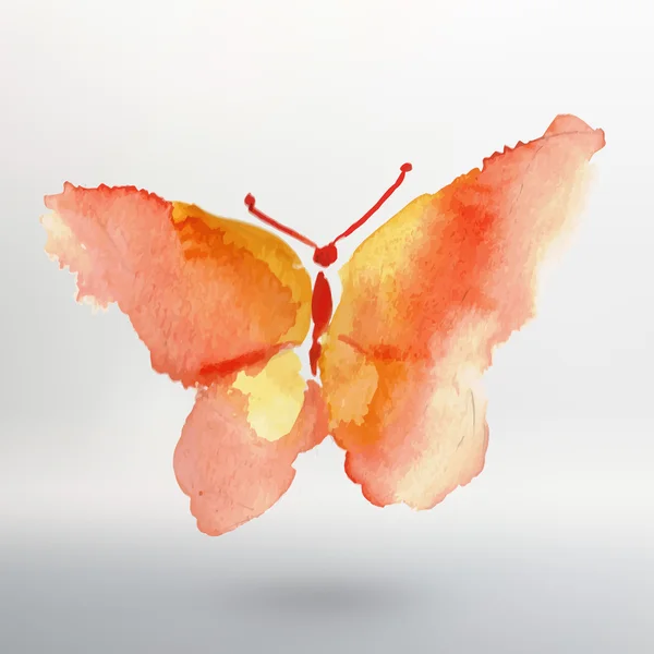 Dibujo de acuarela mariposa. Arte vectorial aislado en blanco — Archivo Imágenes Vectoriales