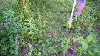 Çimlerin biçilmesi