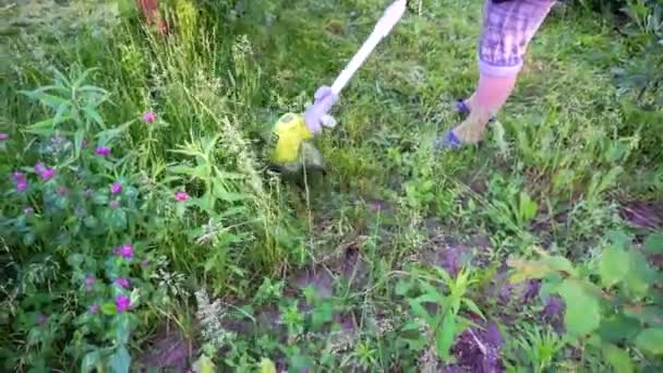 Скошування трави — стокове відео