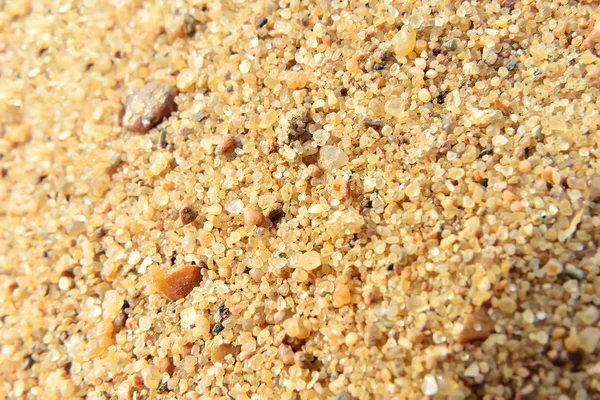 Sand beach close up photo , nice background for your projects