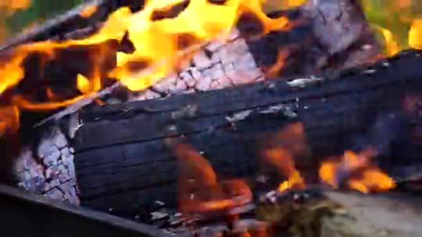 Han tände elden. Kamera närbild. Brännings loggar. Brinnande glöd. — Stockvideo