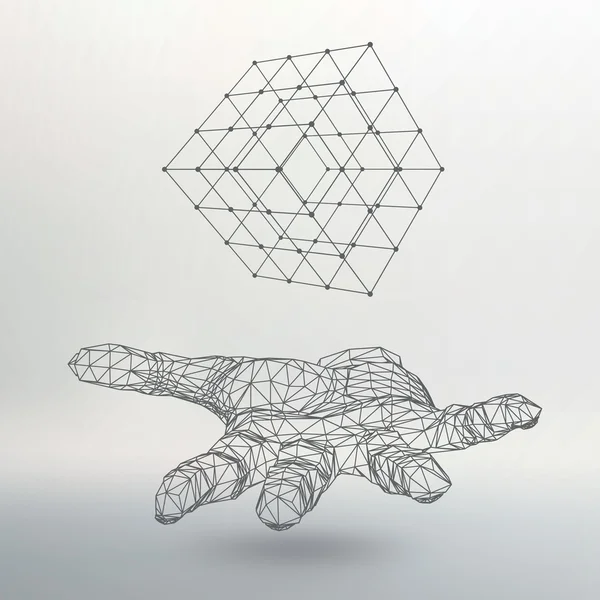 Cube of lines and dots on the arm. The hand holding cube of the lines connected to points. Molecular lattice. The structural grid of polygons. White background. The facility is located on a white — 图库矢量图片