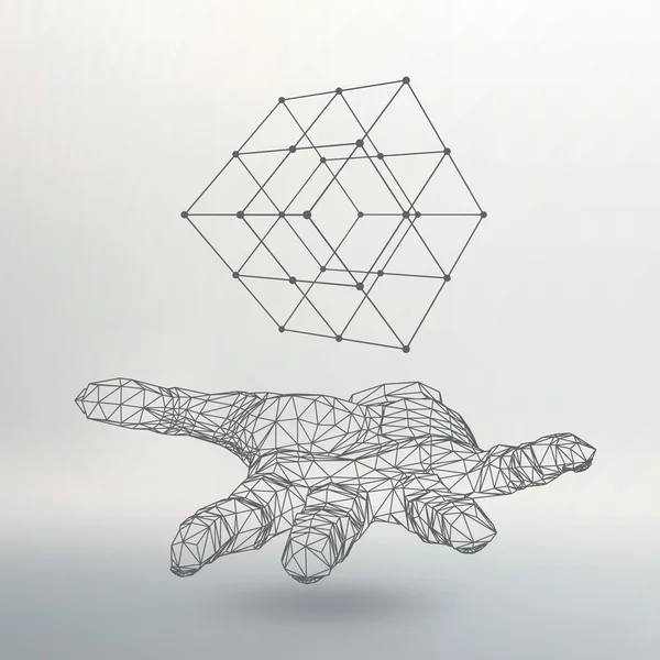 Cube of lines and dots on the arm. The hand holding cube of the lines connected to points. Molecular lattice. The structural grid of polygons. White background. The facility is located on a white — Stockvector